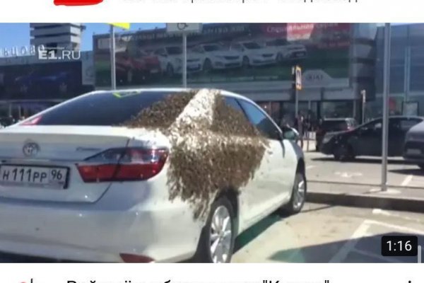Модератор на кракене